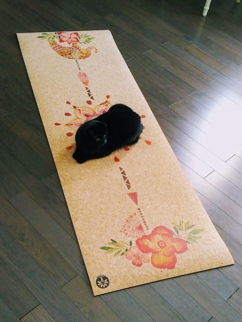 Cat on a mat. Yoloha yoga mat