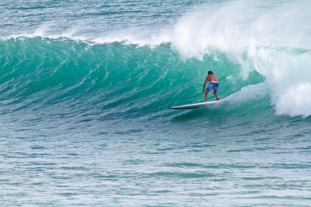 SUP Surfer by Michael Dawes